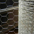 Hexagonal Wire Mesh/Chicken Wire Mesh for Platering